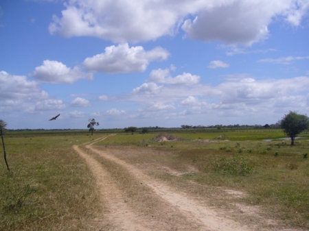 Los Llanos