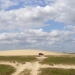 un désert de dunes