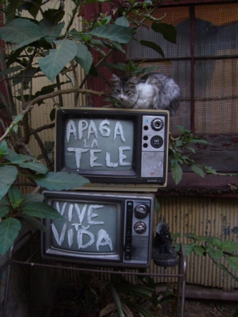 Valparaiso Perla del Pacifico